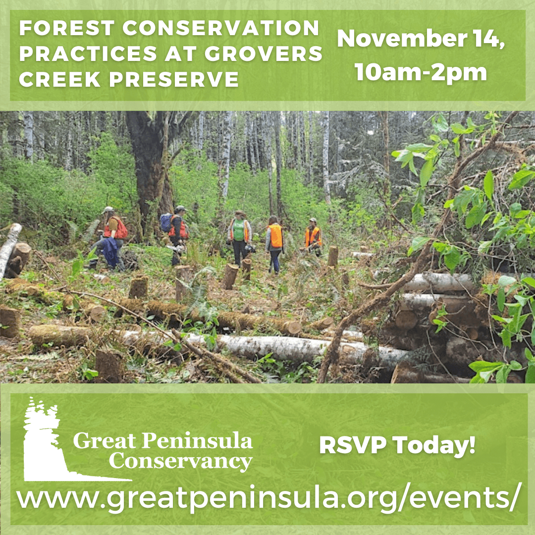 Forest Conservation Practices at Grovers Creek Preserve event graphic