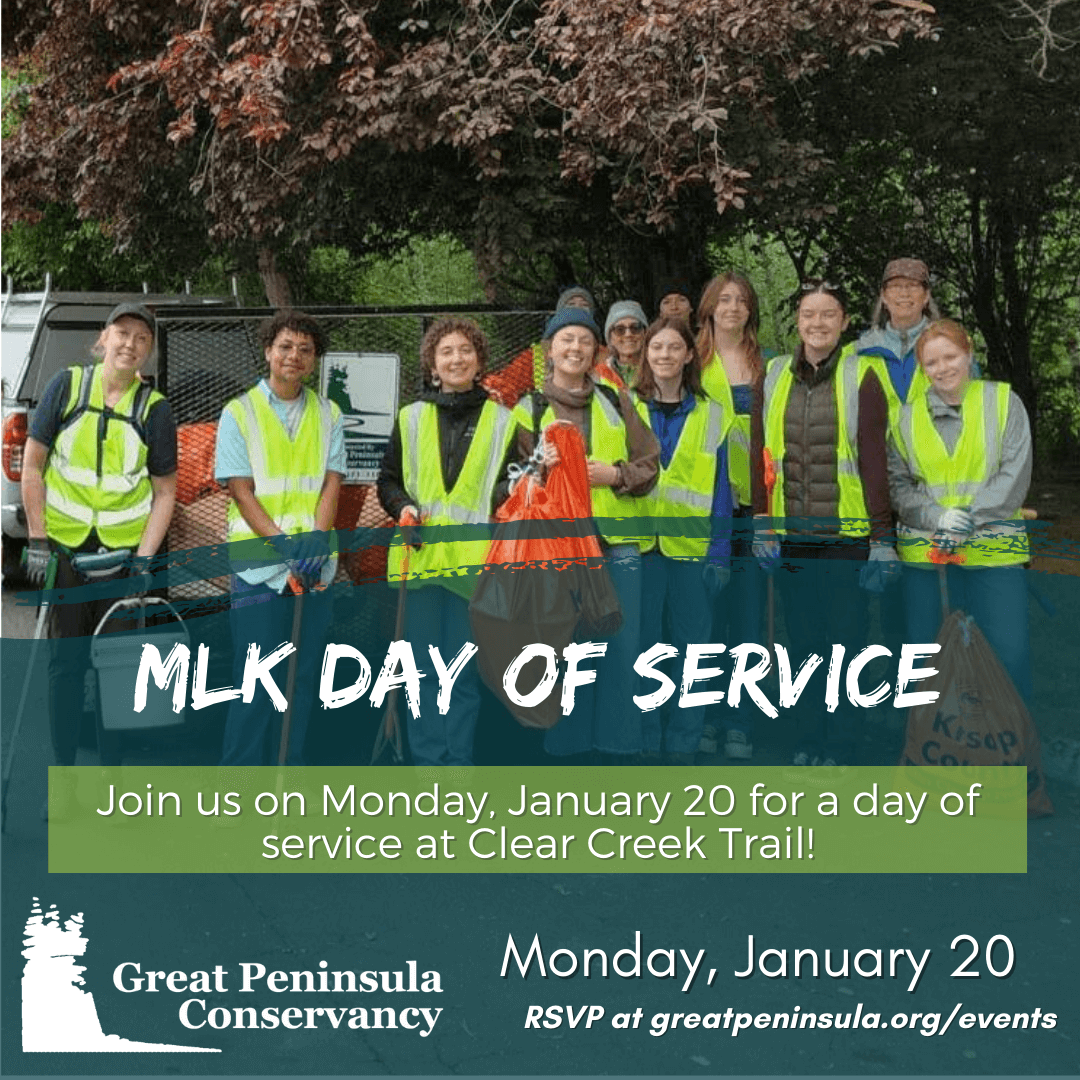 GPC MLK Day of Service event Graphic
